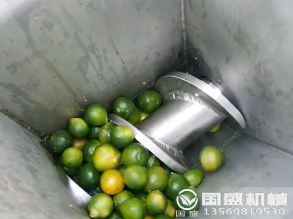 自动桔子压榨机
